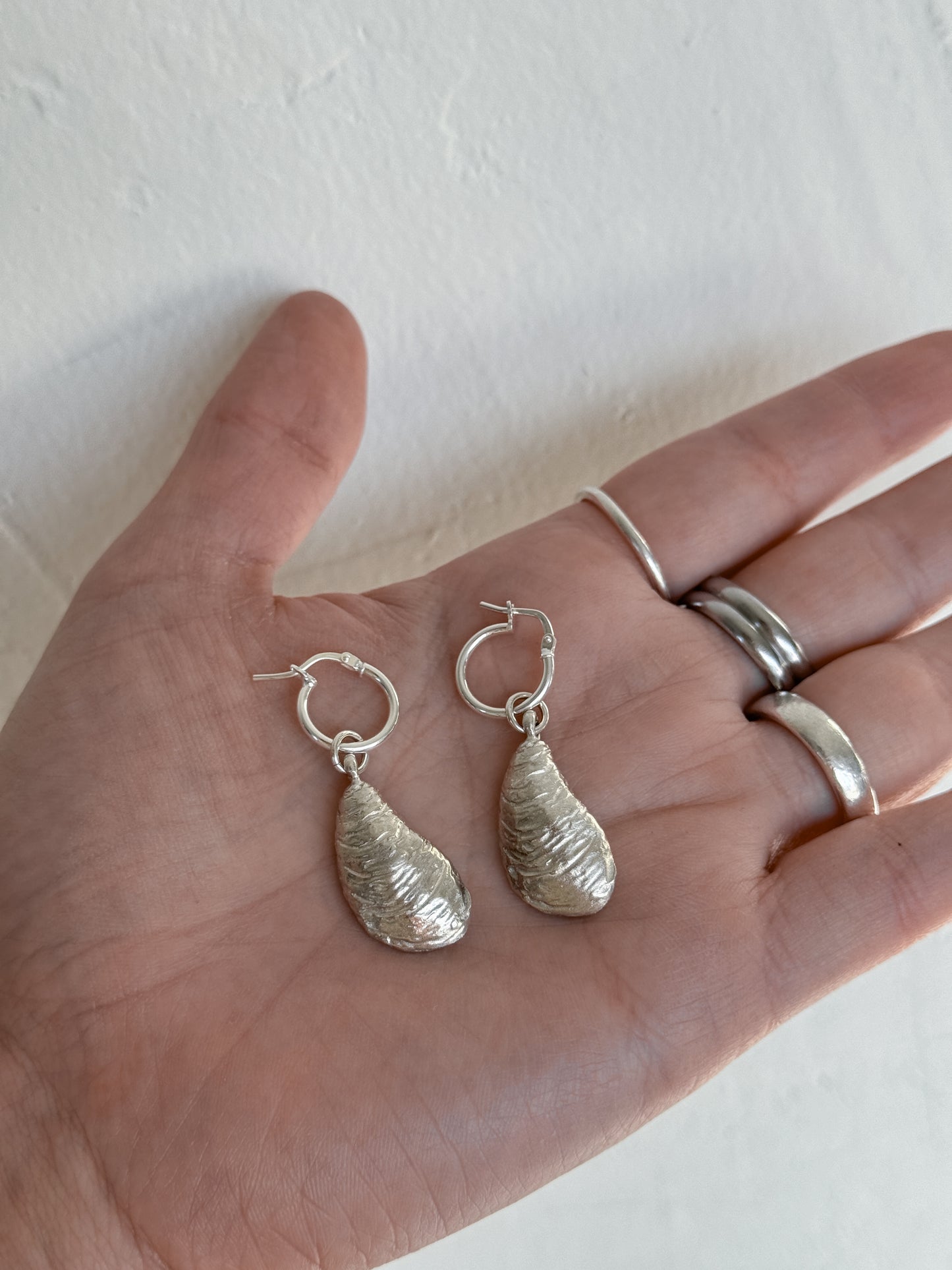 Oyster earrings