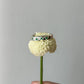 Lucky ring [size 6.5] [1/1]