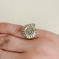 Ammonite ring