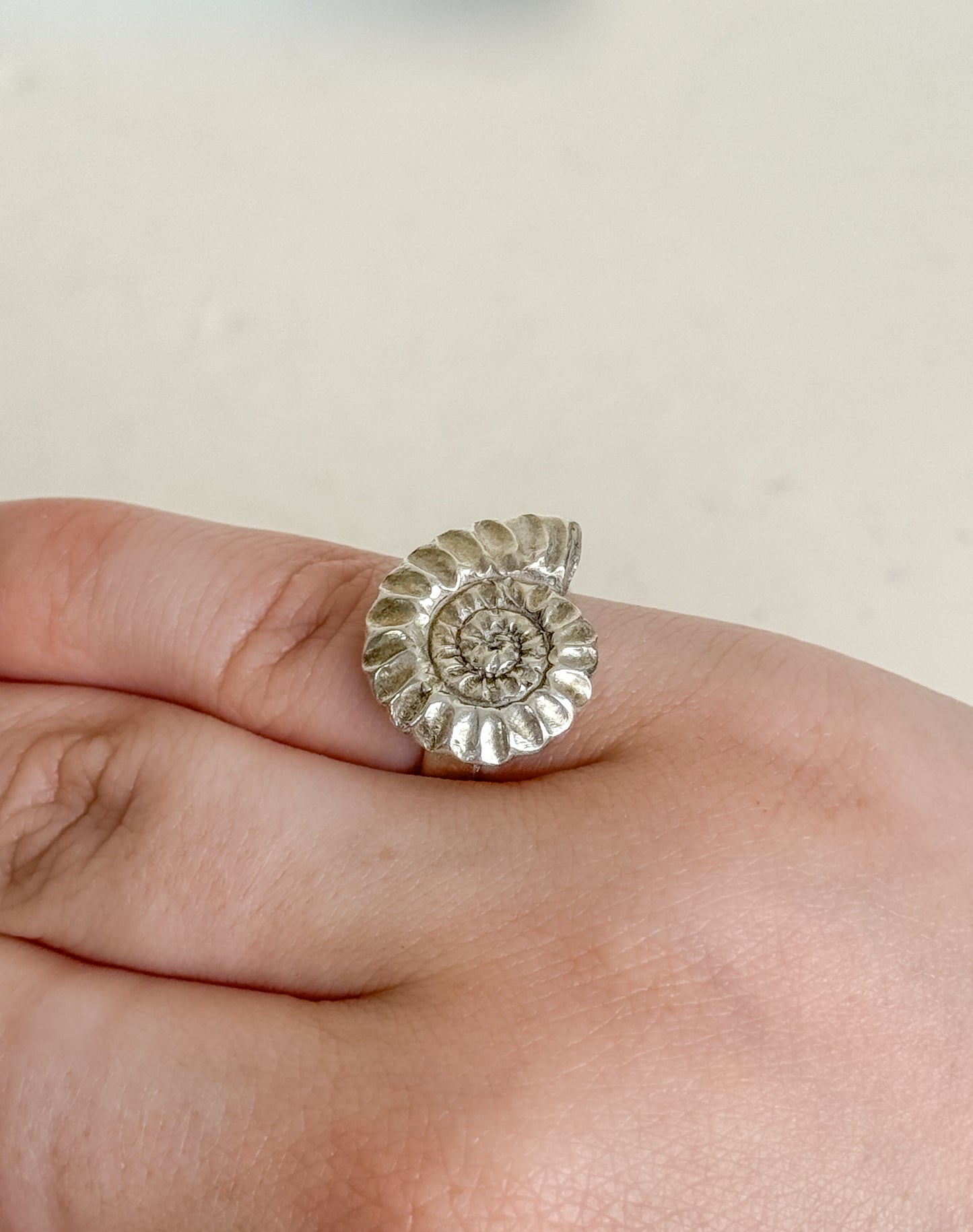 Ammonite ring