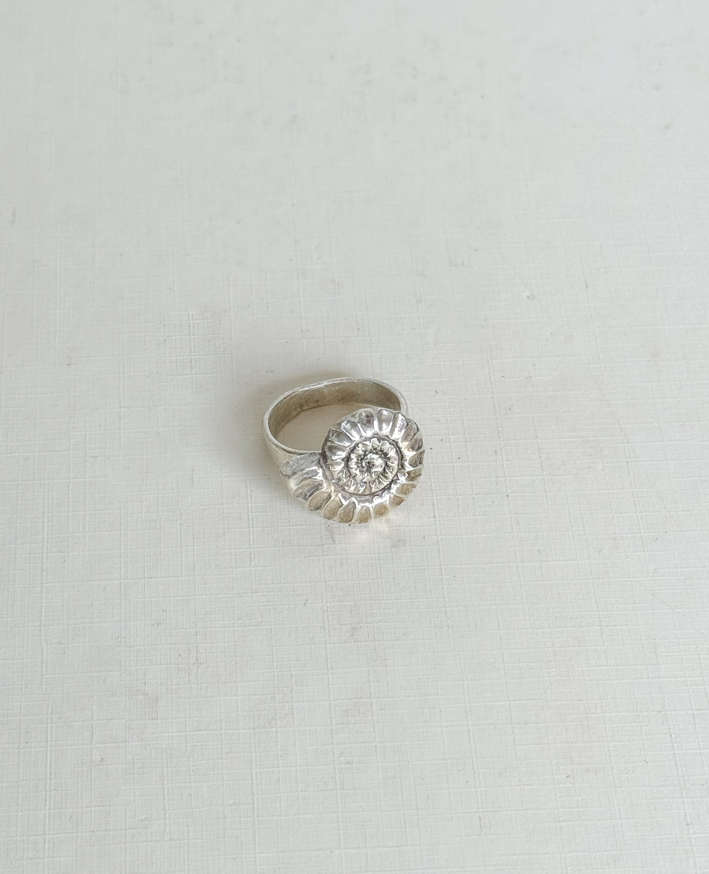 Ammonite ring