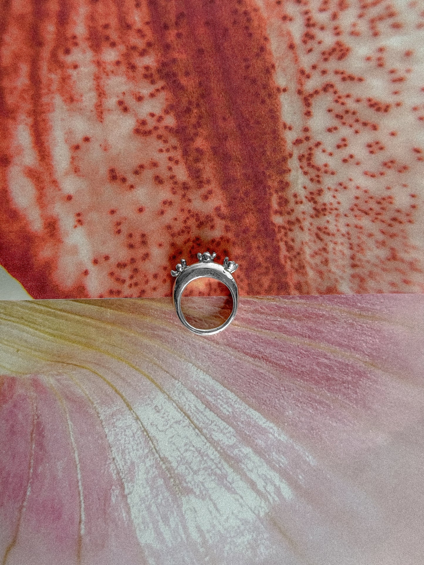 Trefles ring [size 5.5] [1/1]